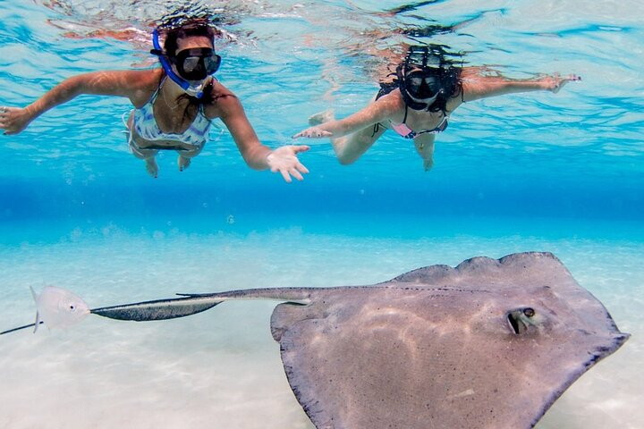 Grand Cayman 3-Stop Adventure: Stingray City & Reef Snorkeling - Photo 1 of 11